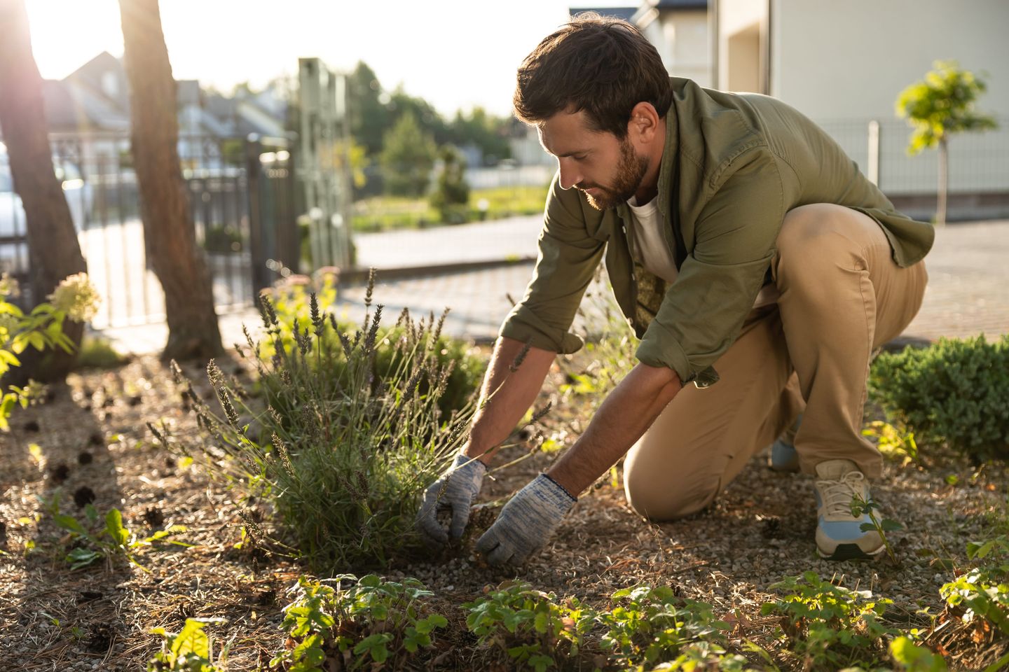 Person tending to a garden in warm sunlight, everyday habits that support long-term health
